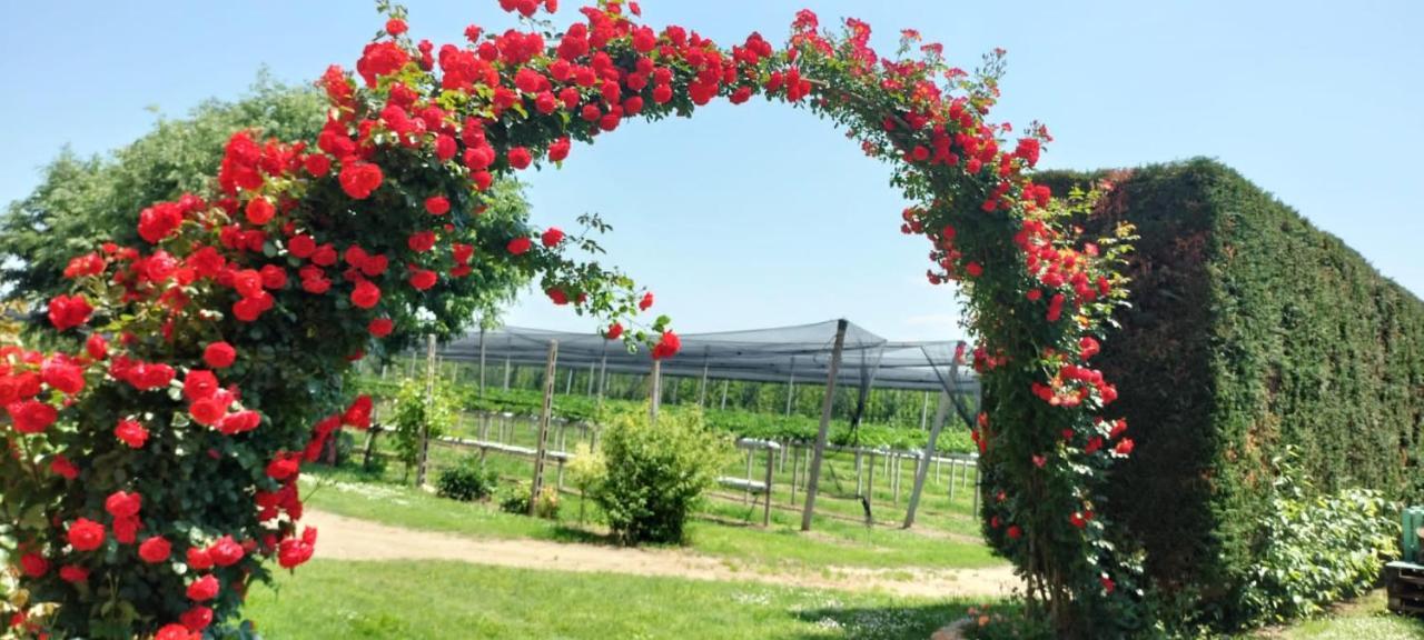Agriturismo Fondo Novelle La Casina Φεράρα Εξωτερικό φωτογραφία