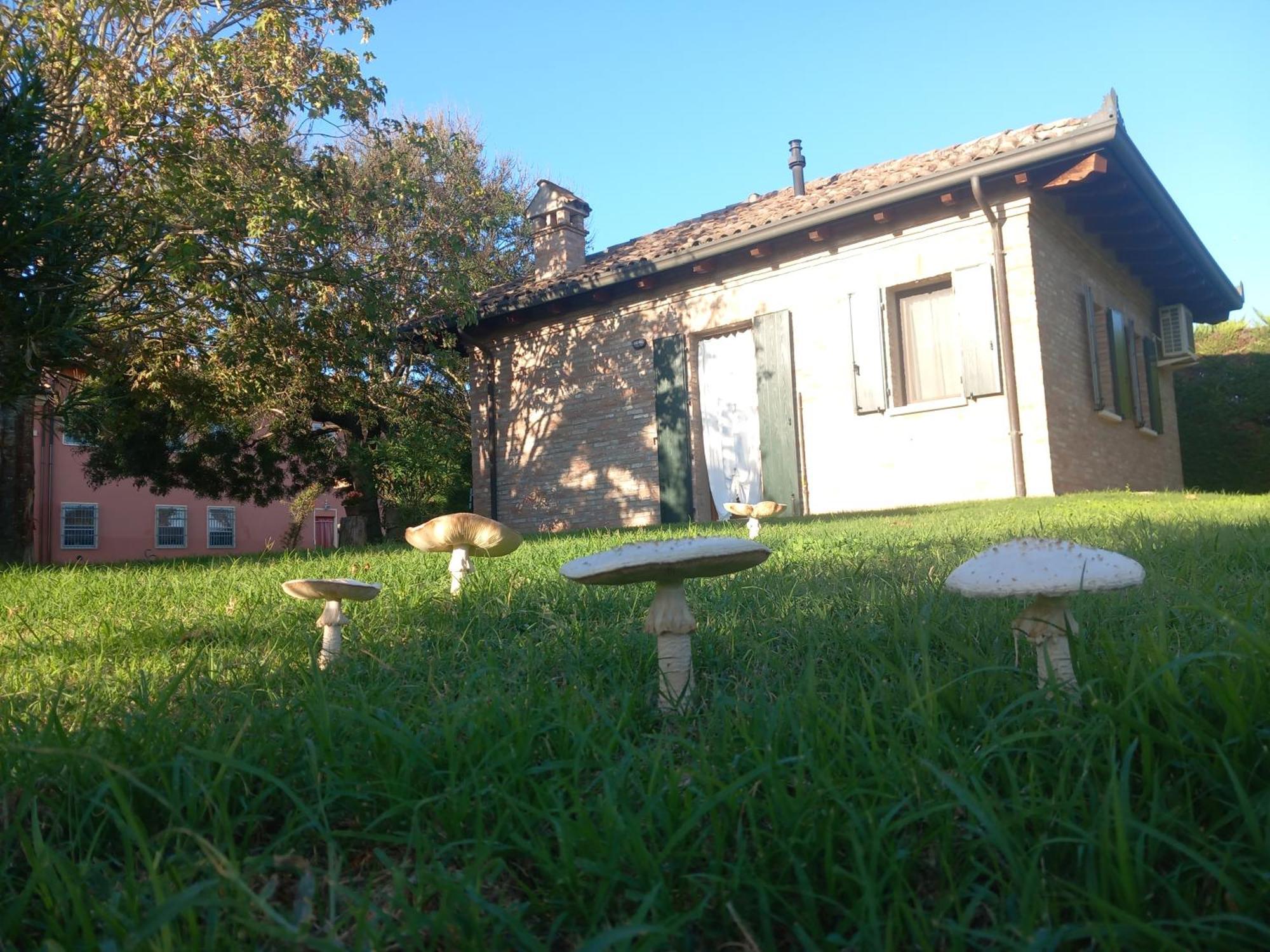 Agriturismo Fondo Novelle La Casina Φεράρα Εξωτερικό φωτογραφία