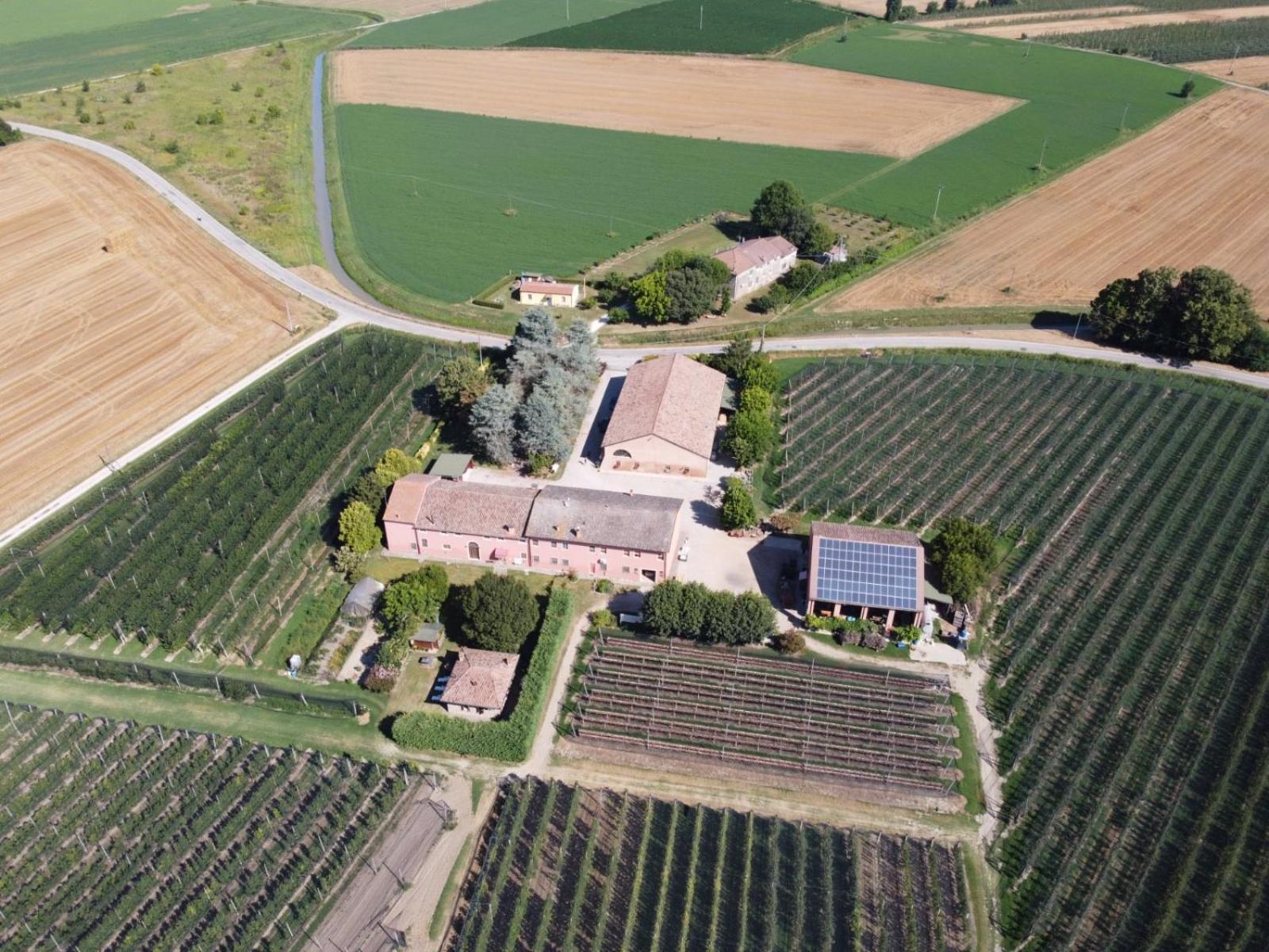 Agriturismo Fondo Novelle La Casina Φεράρα Εξωτερικό φωτογραφία